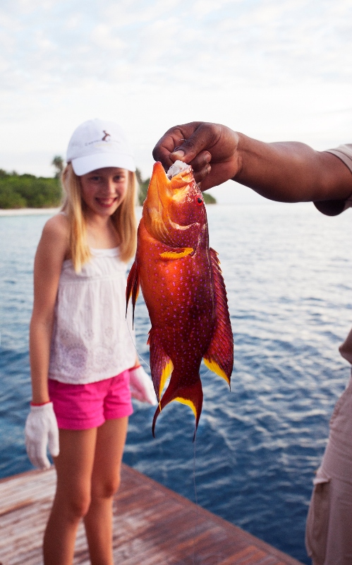 Discover Maldivian marine life