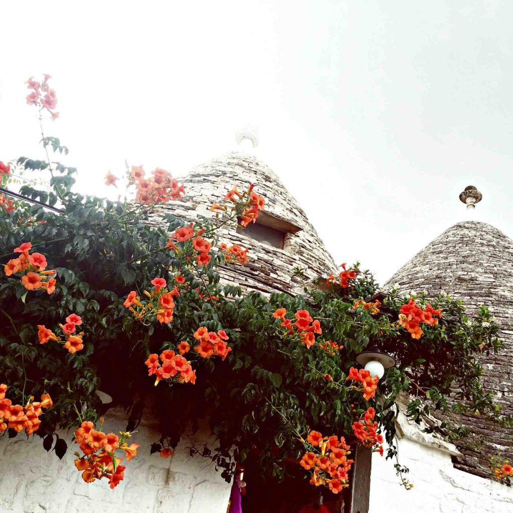Quirky Alberobello