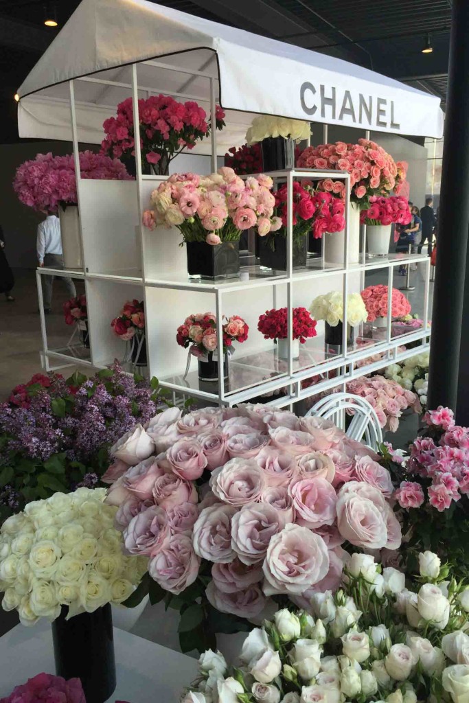 gallery-1444340076-img-0351