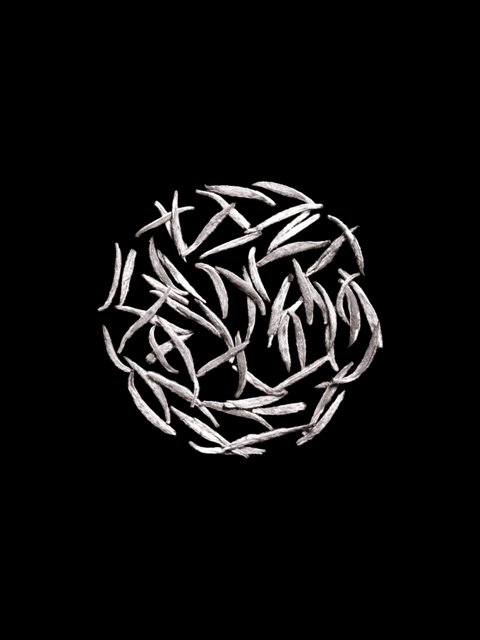 harpers-bazaar-malaysia-chanel-la-solution-10-silver-needle-tea