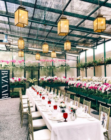 Screen Shot 2016-05-21 at 12.09.48 pm