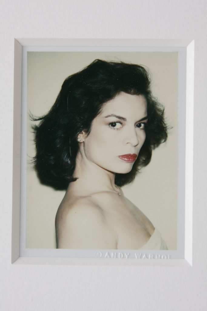 warhol polaroids020