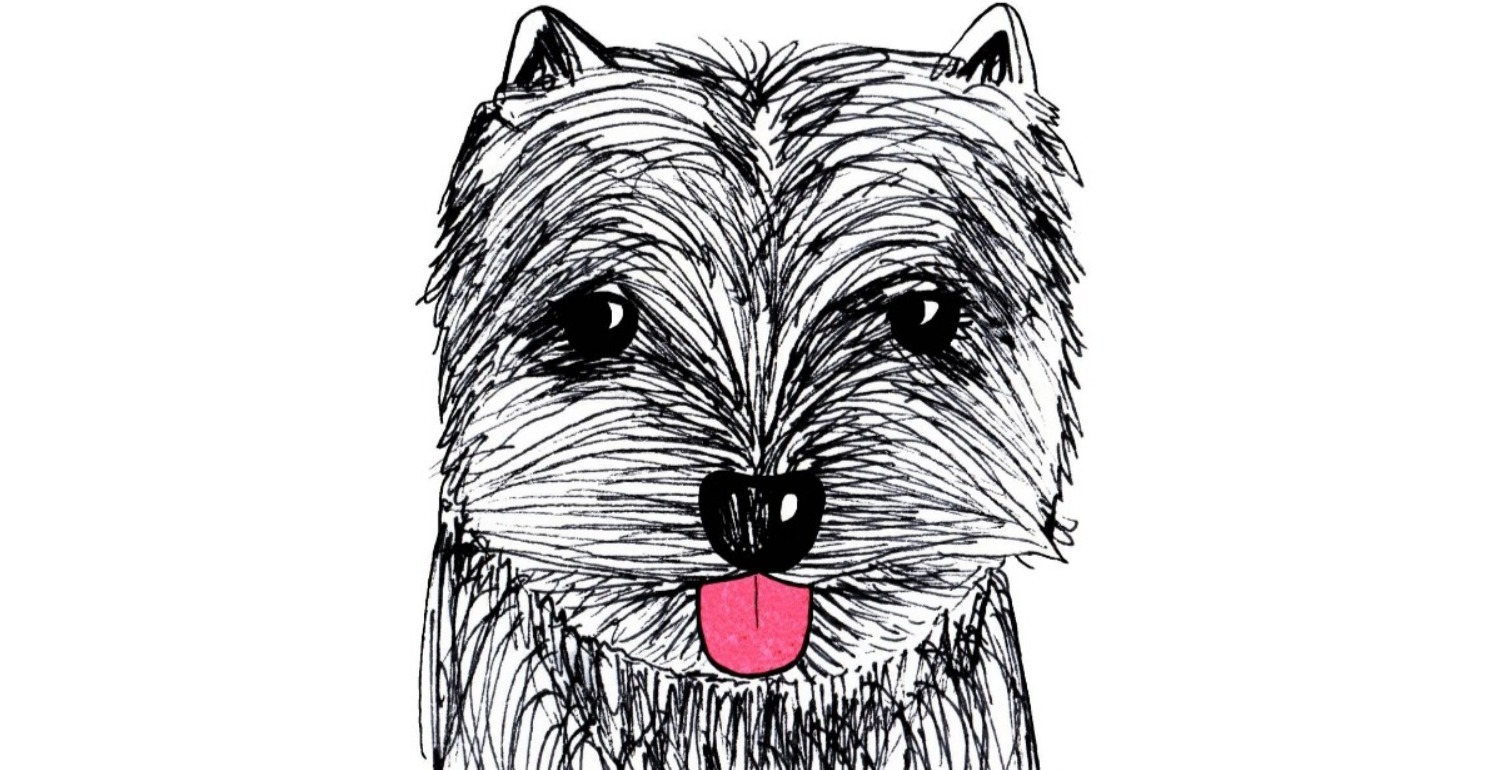 What Your Love and Luck Will Be Like In 2018, According To Your Chinese Zodiac