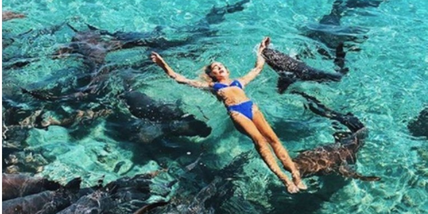 Instagram Model Bitten by a Shark as She Posed for Pictures