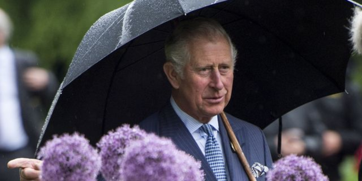 Prince Charles Branches Out Into Sustainable Fashion With Dresses Made From Nettles