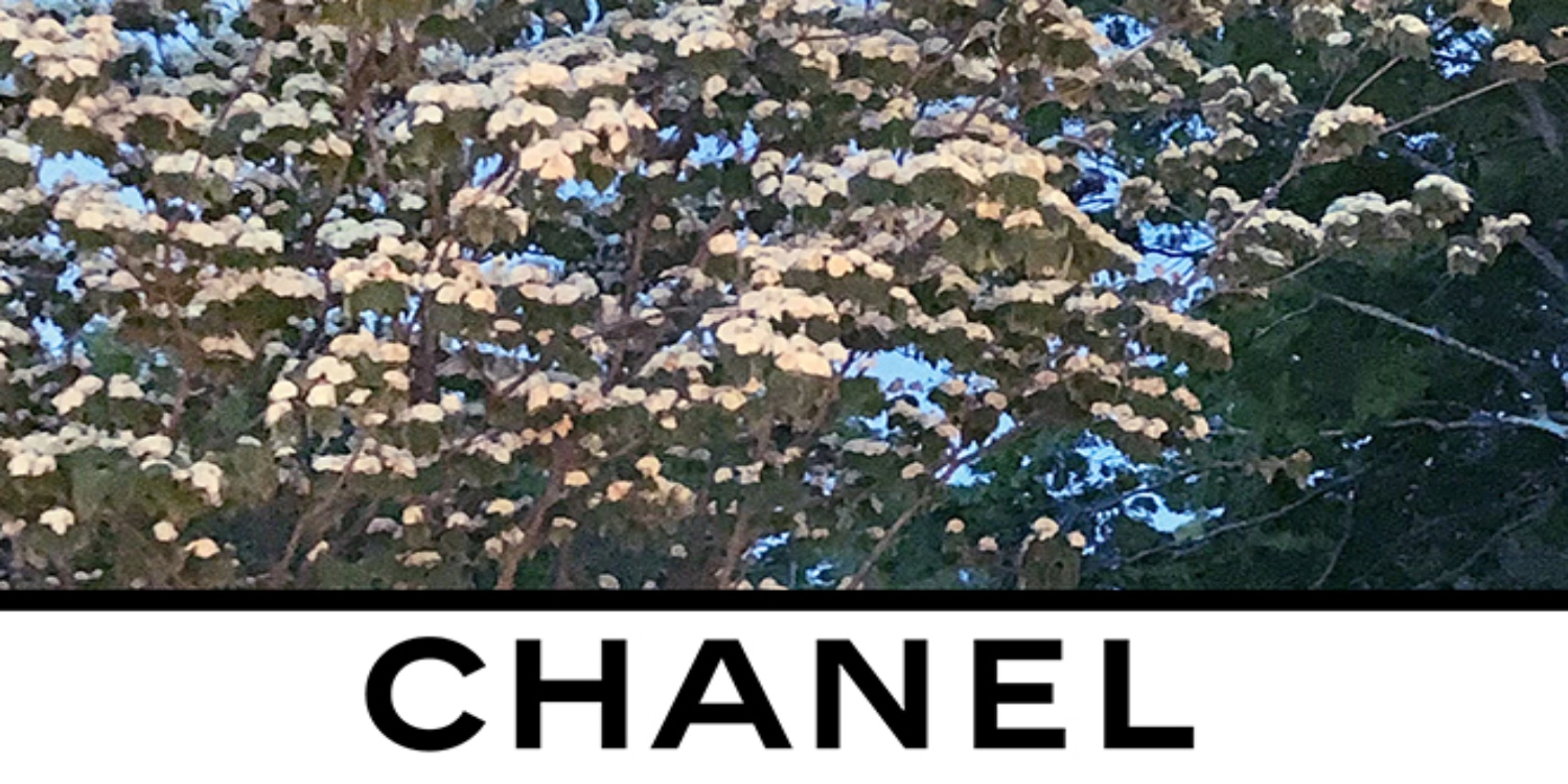 LIVESTREAM: Chanel’s Autumn/Winter ’20