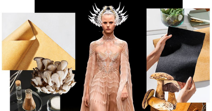 Fashion Fungi