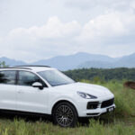 Annice Lyn Porsche Cayenne