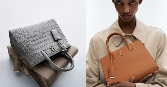 burberry the frances