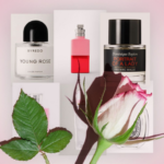 Rose Fragrance