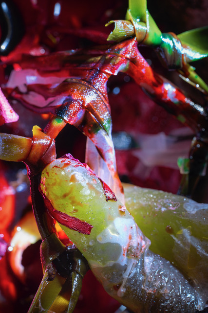 art and fashion exhibitions may