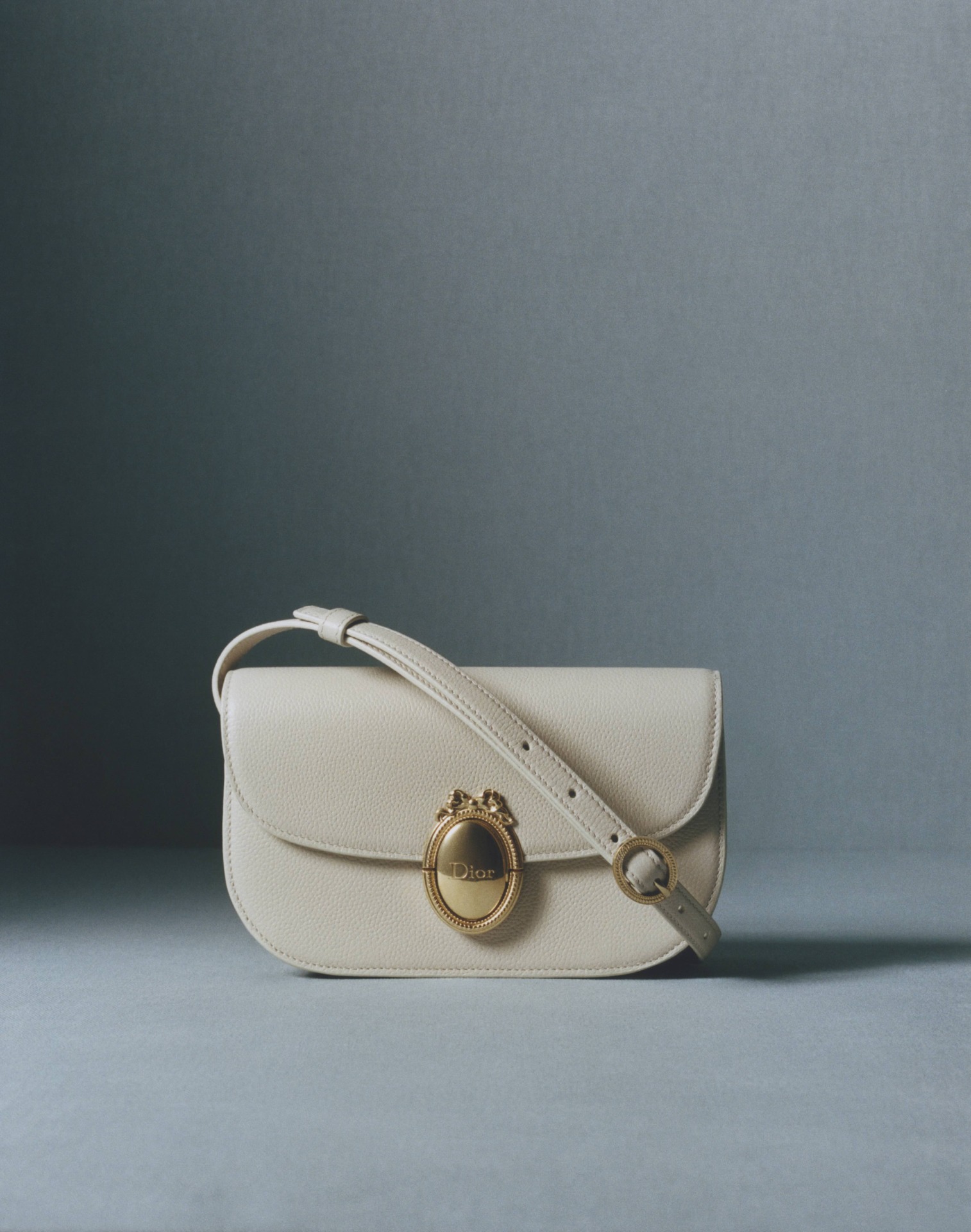 Dior Medallion